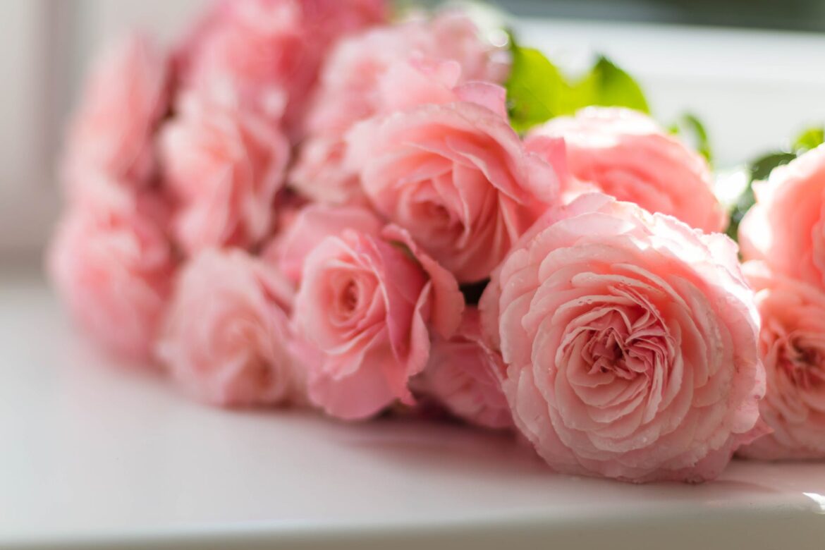 Top 7 Flowers To Say Thank You To Your Mom